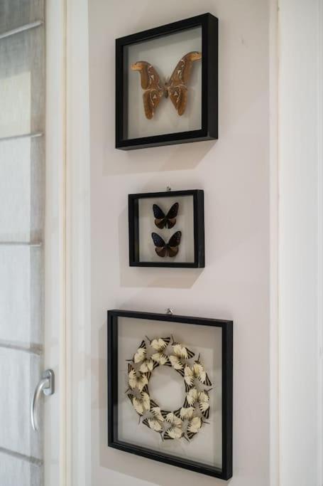 Casa Delle Farfalle Bologne Extérieur photo